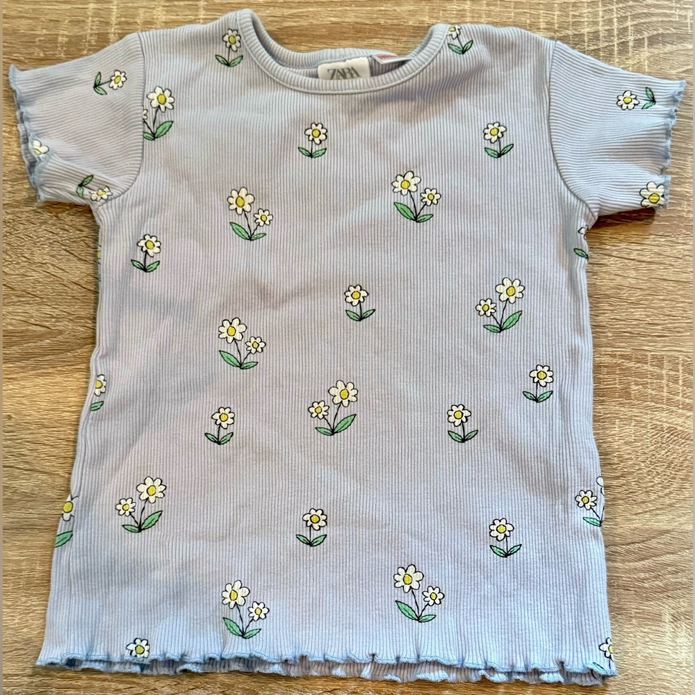 Zara Shirt